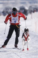 Lenk 2013